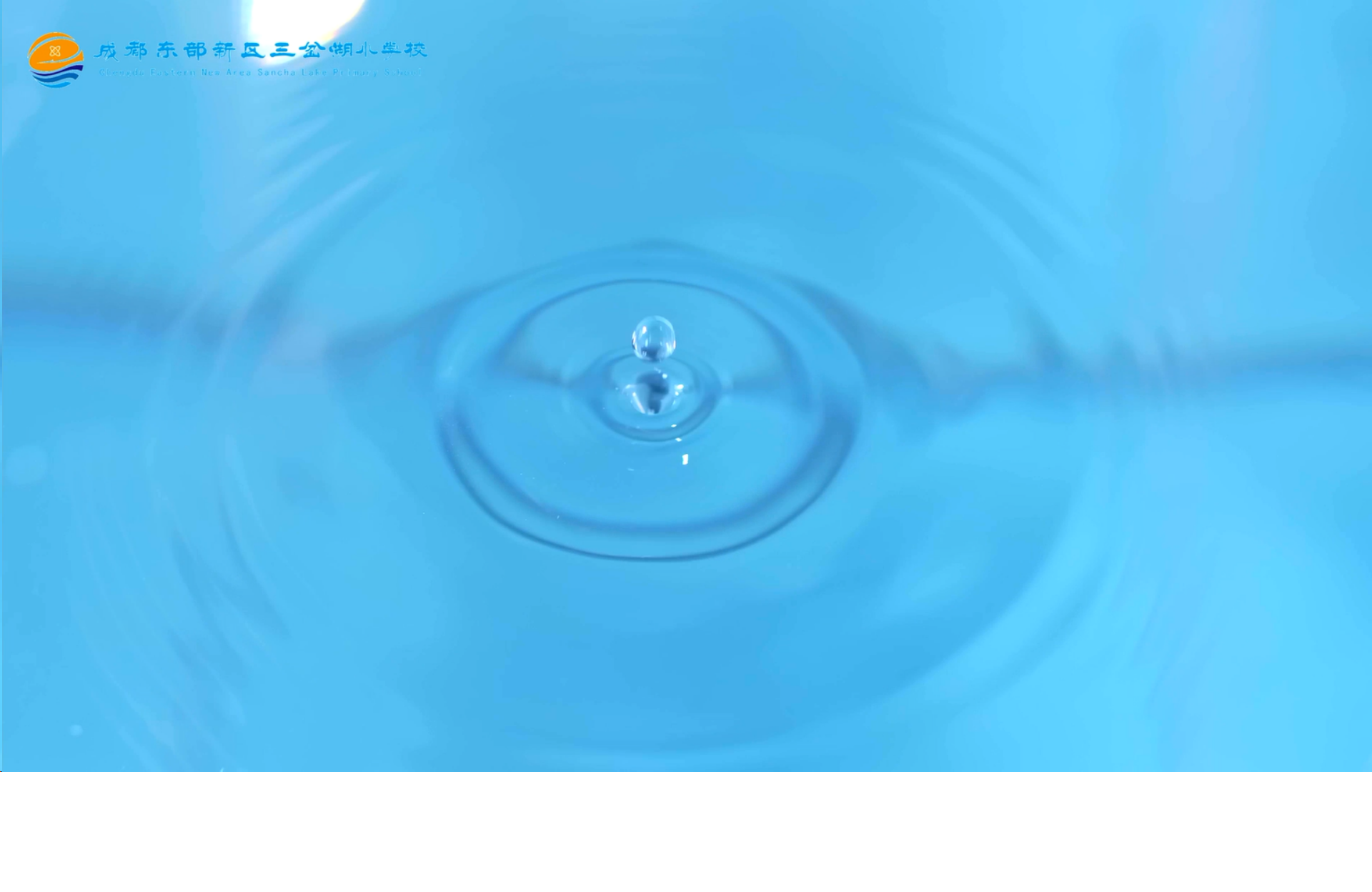 成都东部新区三岔湖小学简介